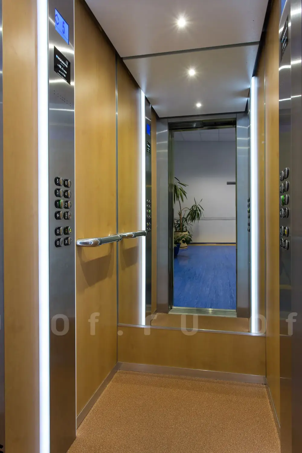 undefined: Фото 2